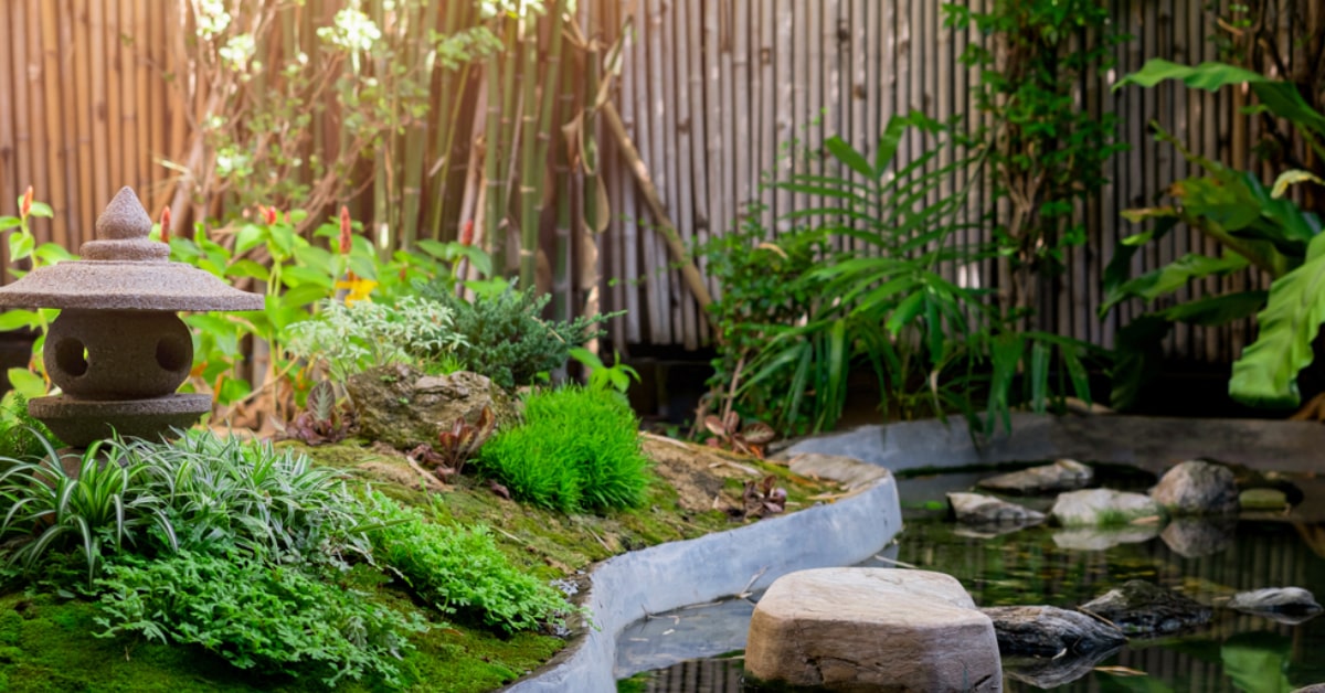 way to start Japanese garden at home